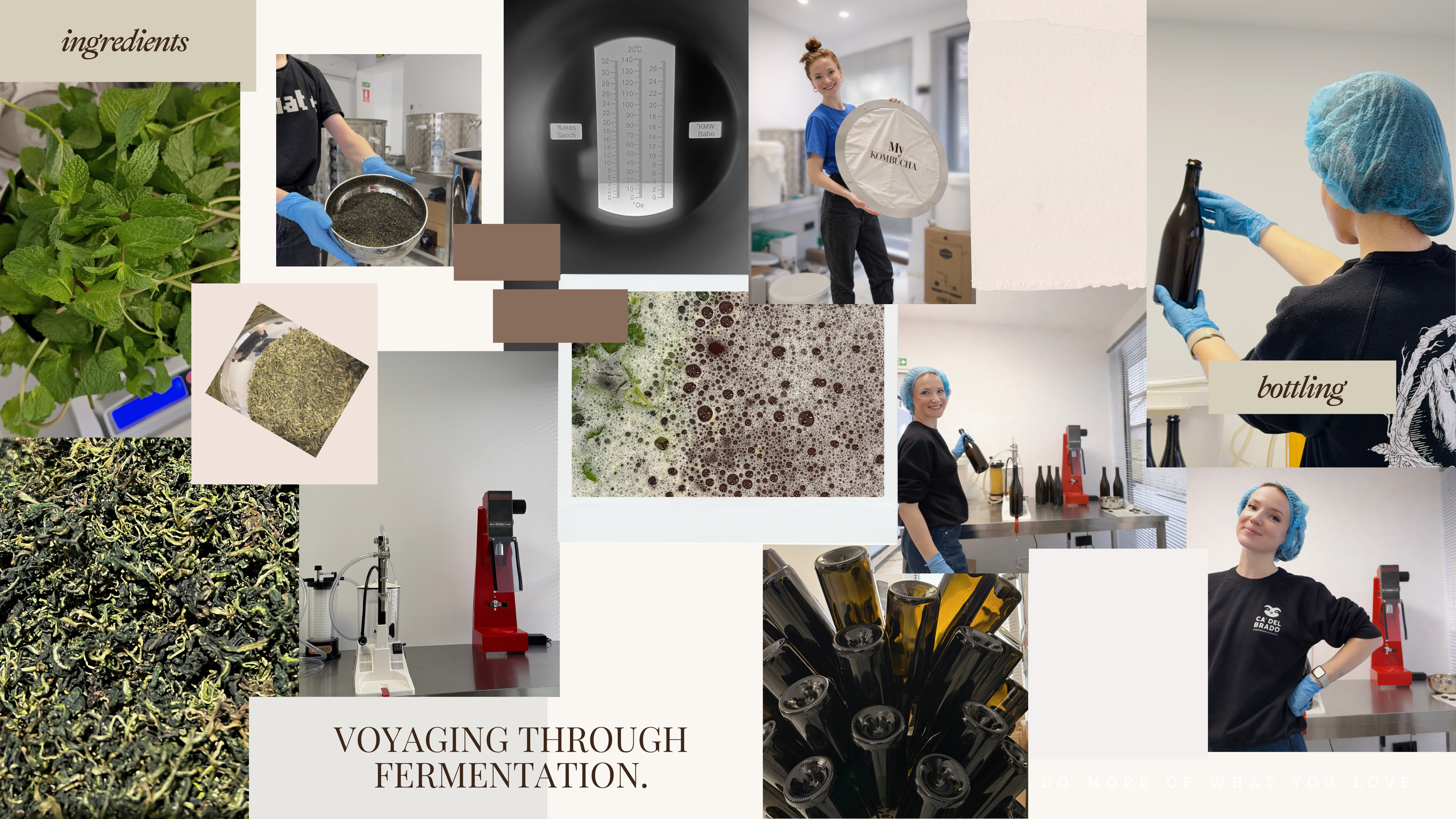 Mood board — ingredients, brewing process, and bottling